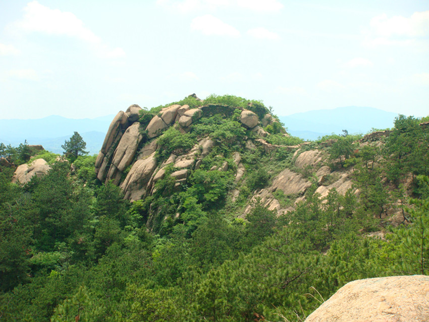 dsc03950_.jpg