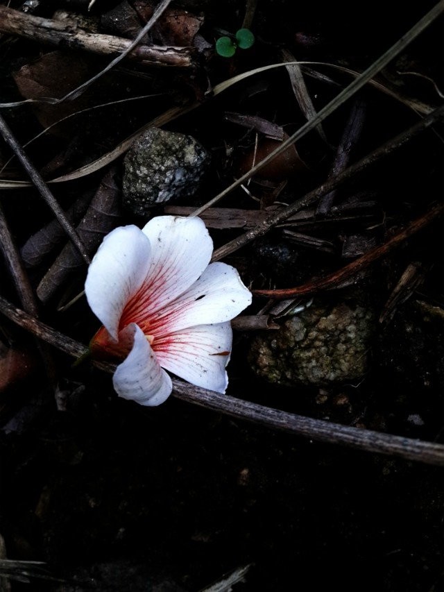 qqͼƬ20140424174005.jpg