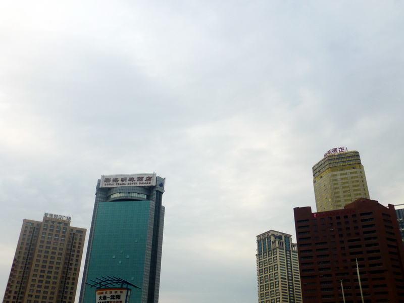 p1200985.jpg