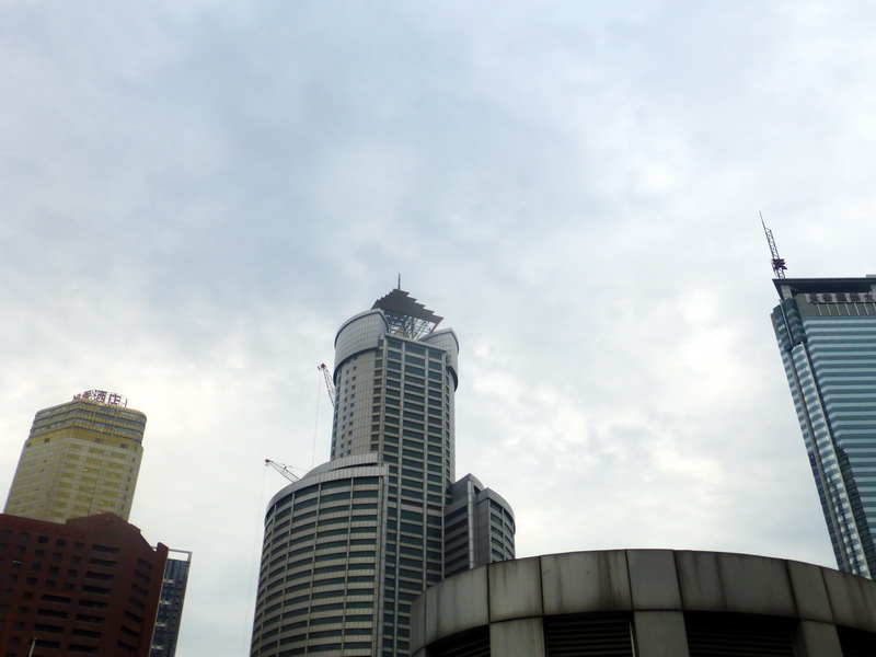 p1200984.jpg