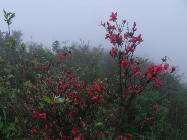 dscf8007.jpg
