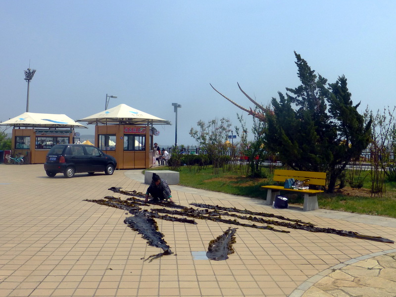 p1210070.jpg