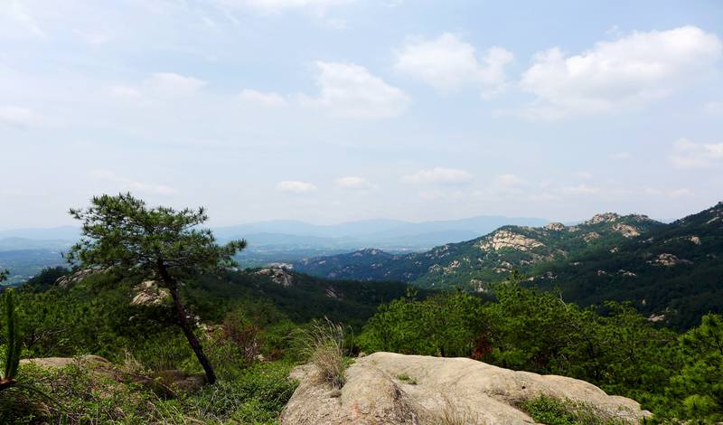 p1220988-1.jpg