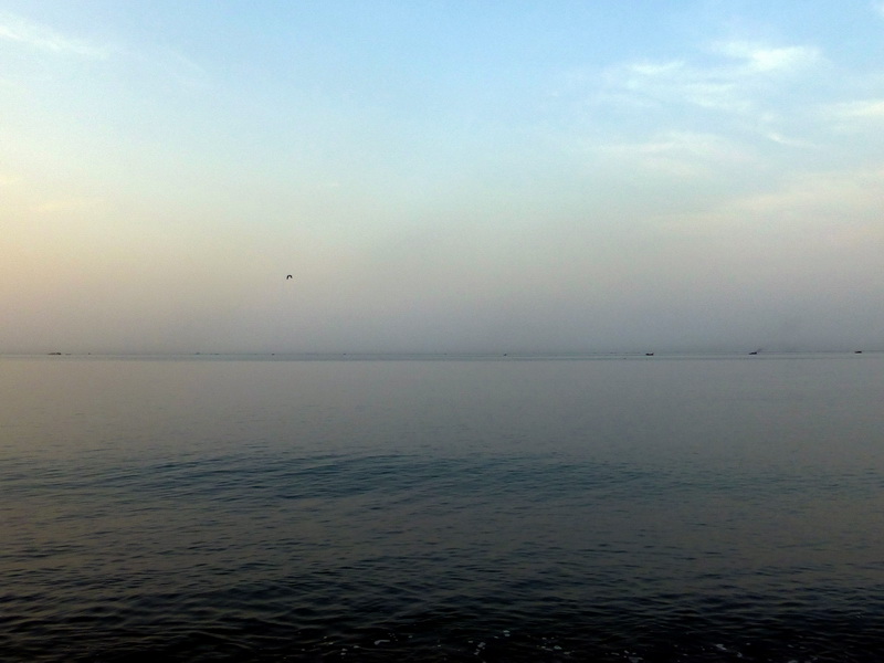 p1210119.jpg