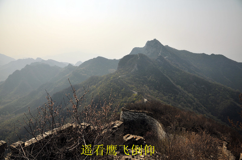 dsc_0091_.jpg