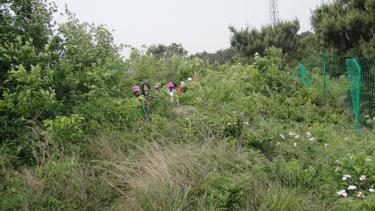 dsc05630.jpg