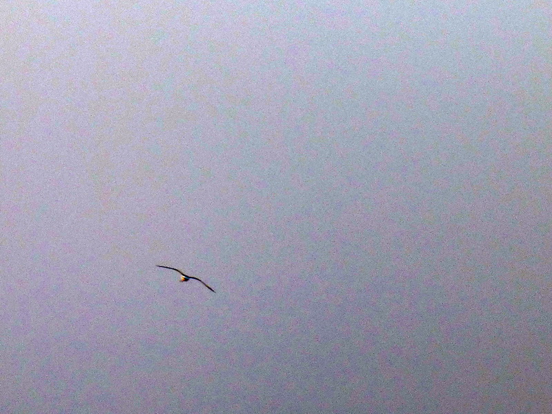 p1210156.jpg
