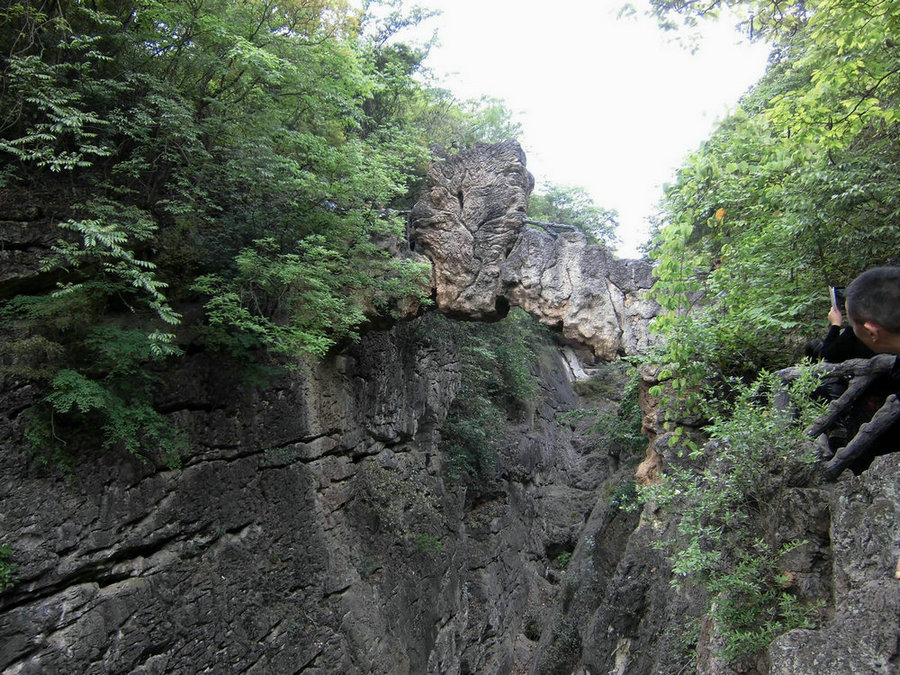 cimg1347_1.jpg