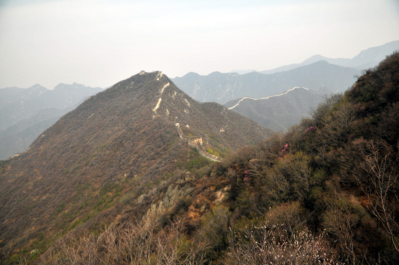 dsc_0111_副本.jpg