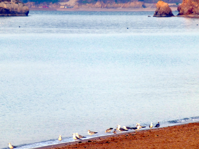 p1210179.jpg