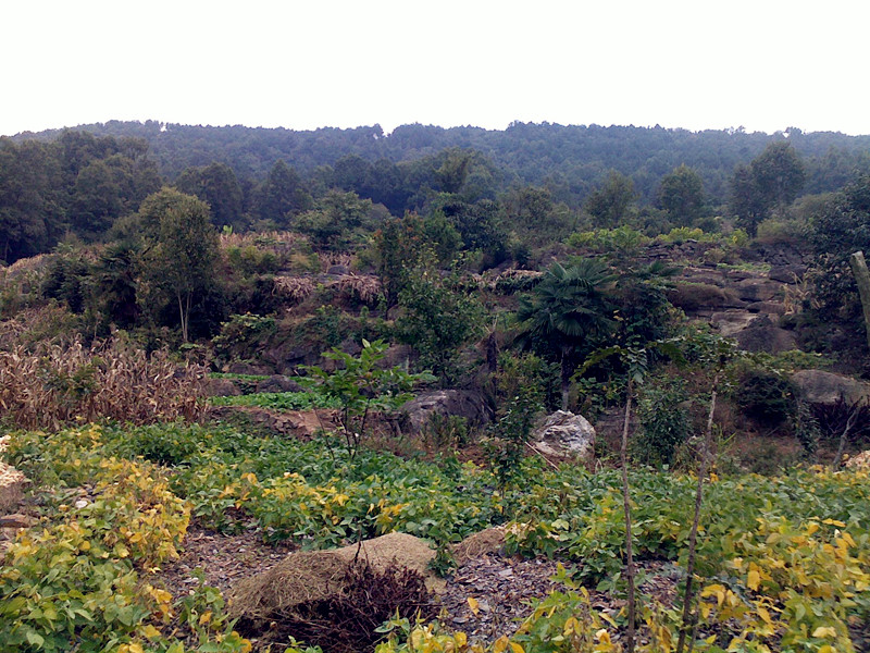 20121004075_.jpg