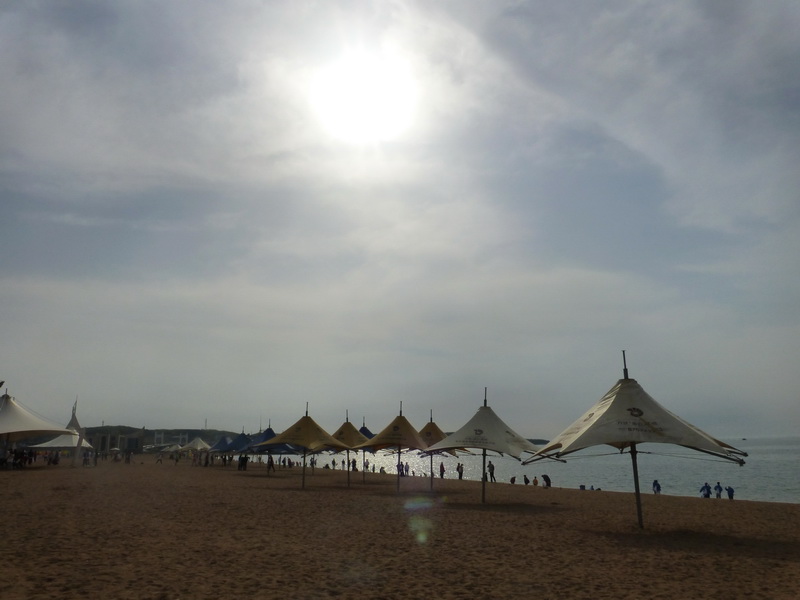 p1210228.jpg