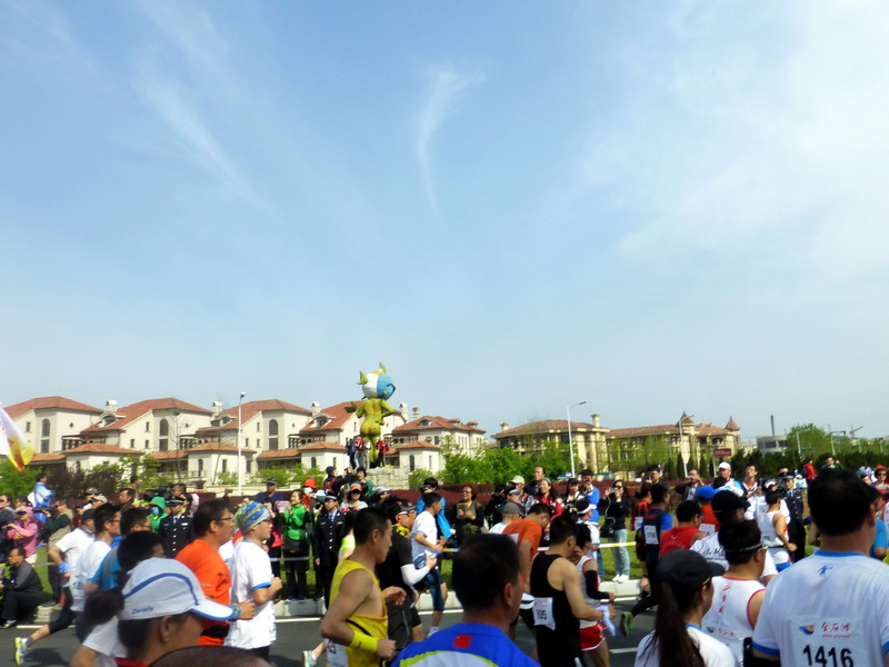 p1210248.jpg