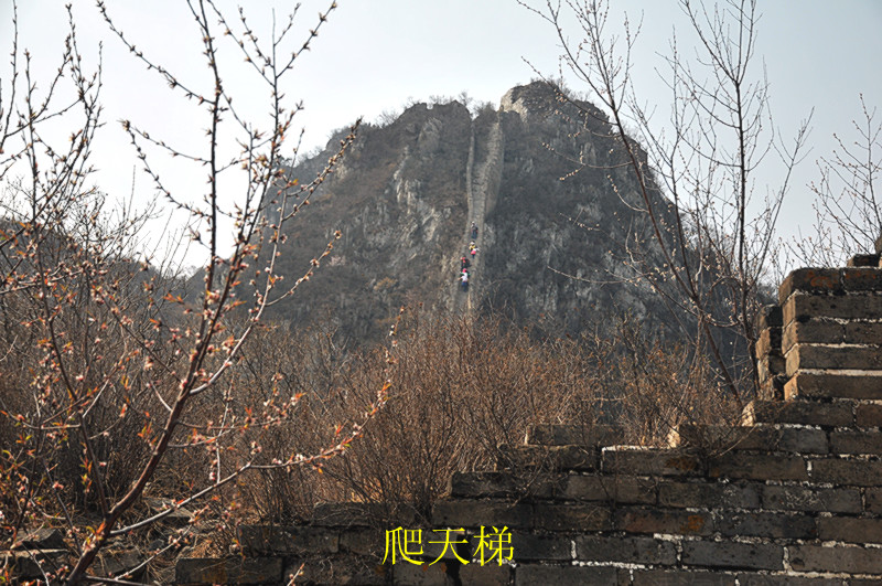 dsc_0167_副本.jpg
