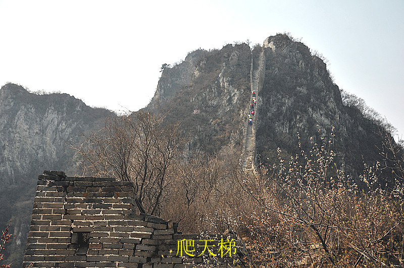 dsc_0169_副本.jpg