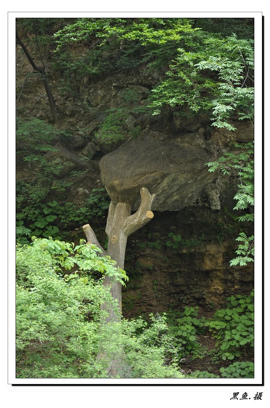 潭瀑峡 (17).jpg