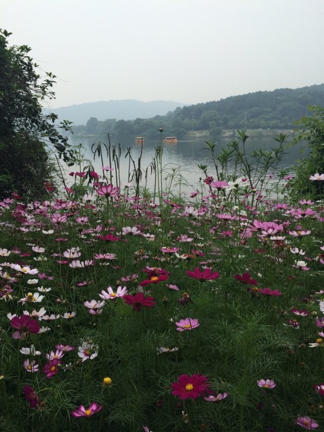 qqͼƬ20140521190322.jpg