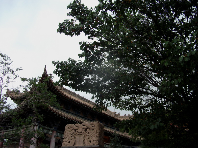 dscf0645.jpg