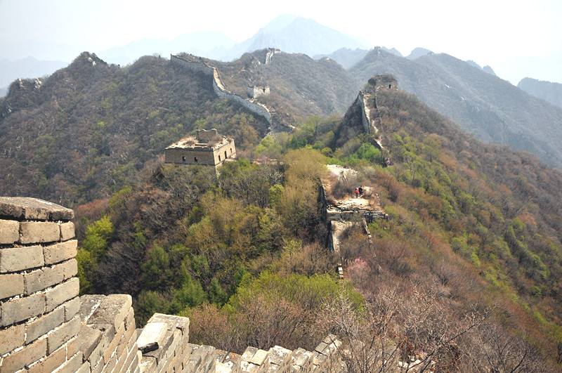 dsc_0186_.jpg