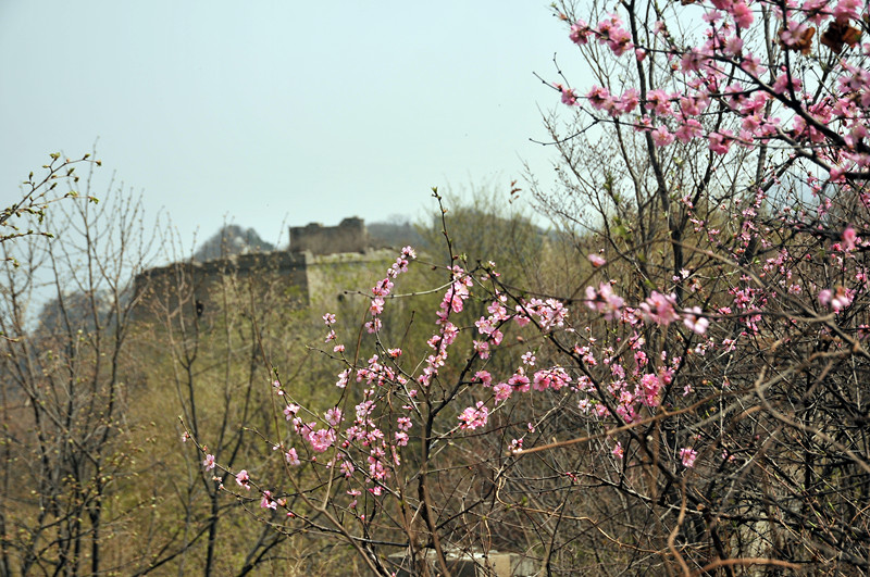 dsc_0187_.jpg