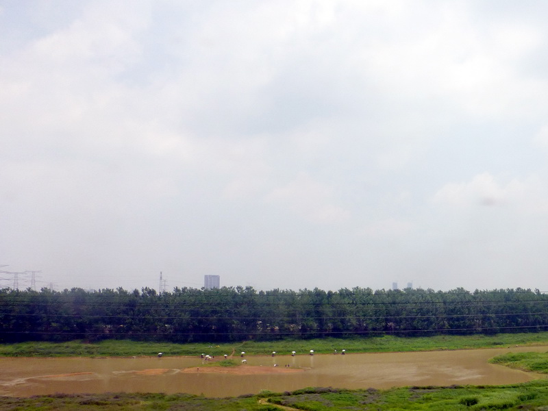 p1210376.jpg