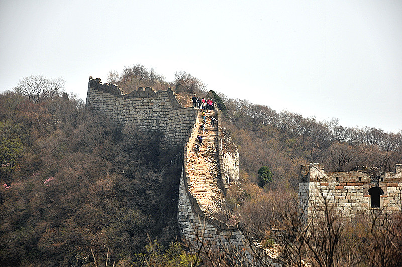 dsc_0195_.jpg