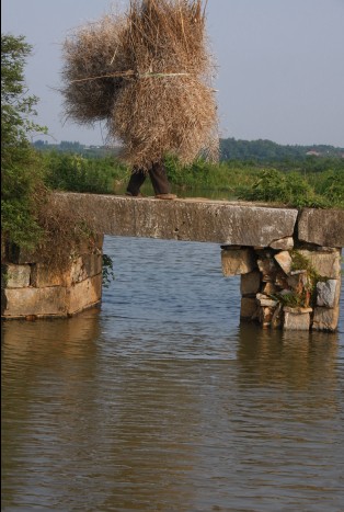 04.jpg