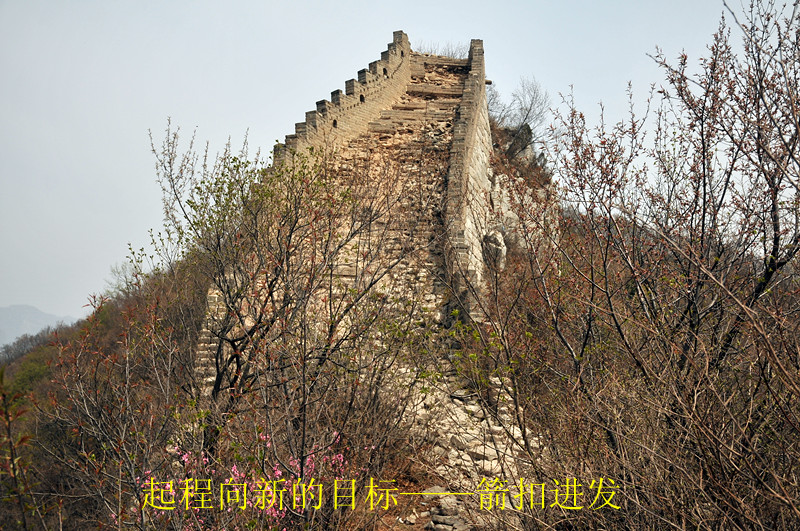 dsc_0206_副本.jpg