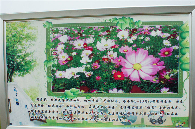 dsc08355_副本.jpg
