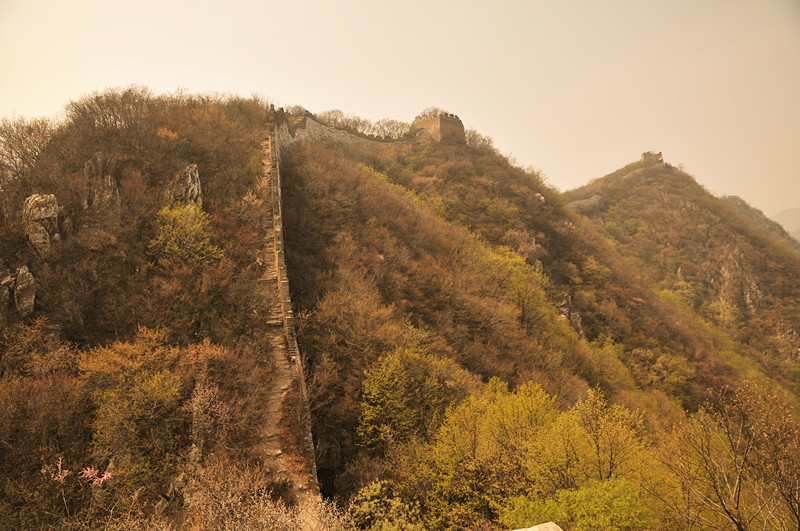 dsc_0253_副本.jpg