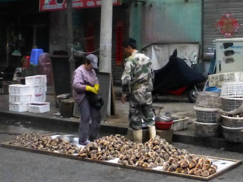 p1210467.jpg