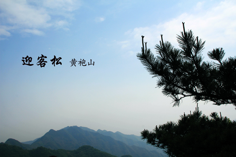 51通城县黄袍山481.jpg