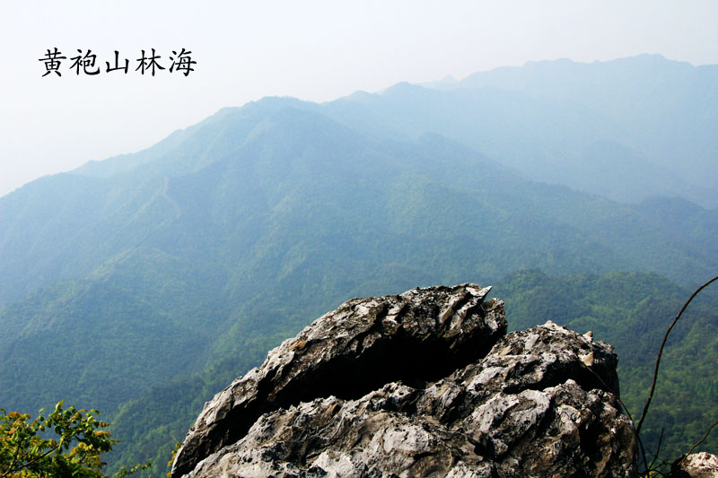 51通城县黄袍山495.jpg