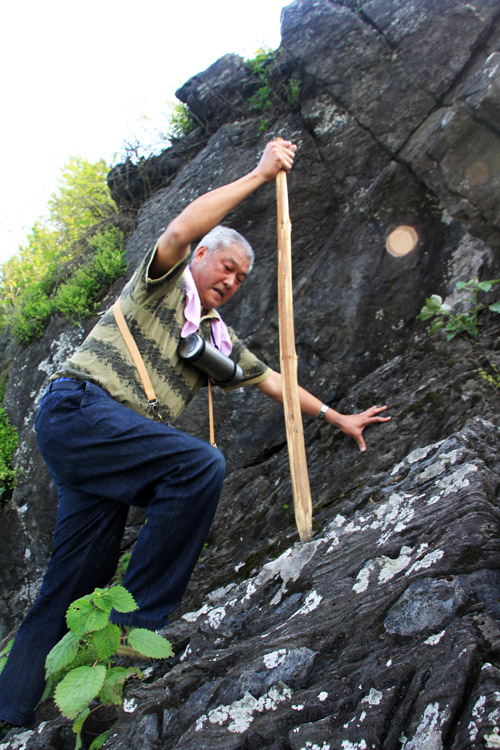 51通城县黄袍山401.jpg