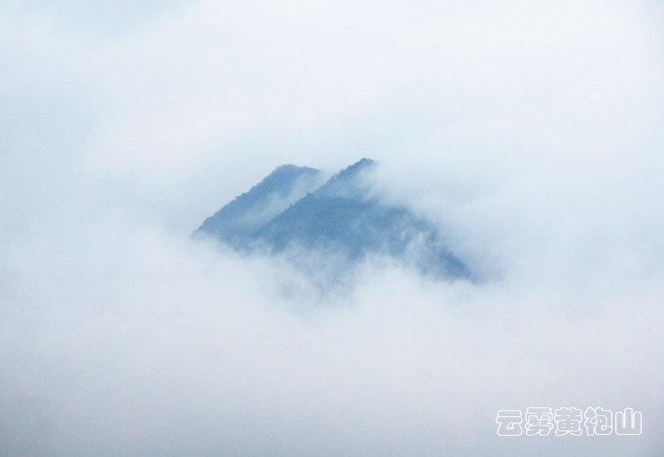通城县黄袍山云海.jpg