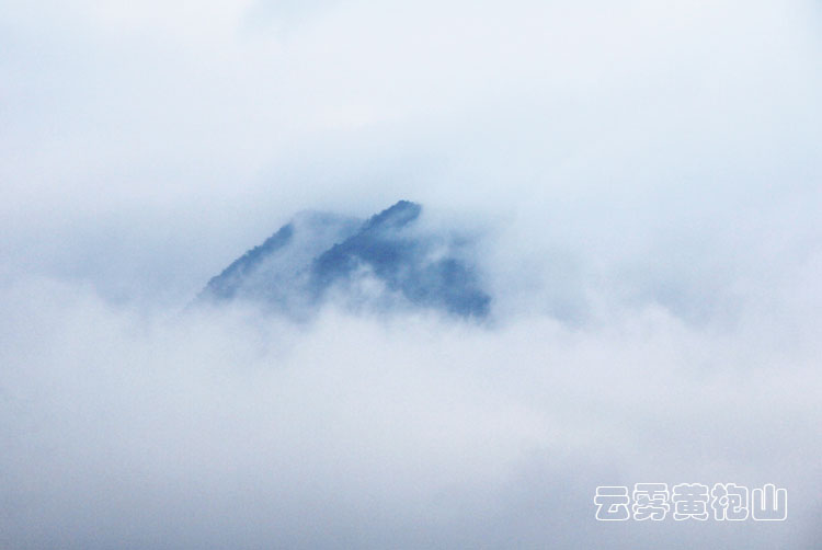 通城县黄袍山云海1.jpg