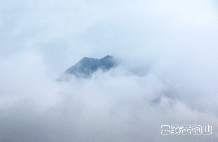 通城县黄袍山云海2.jpg