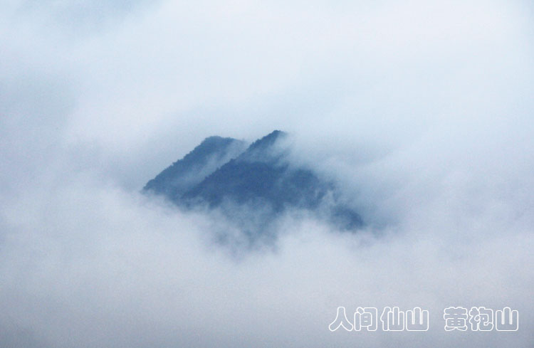 通城县黄袍山云海5.jpg