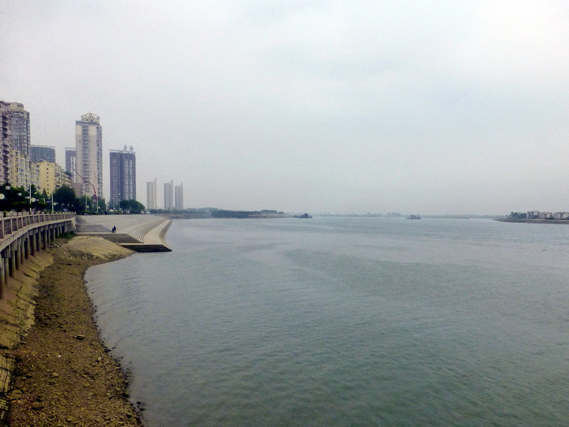 p1210560.jpg