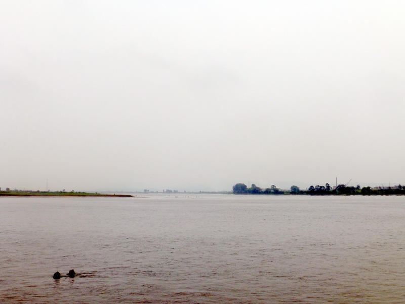 p1210535.jpg