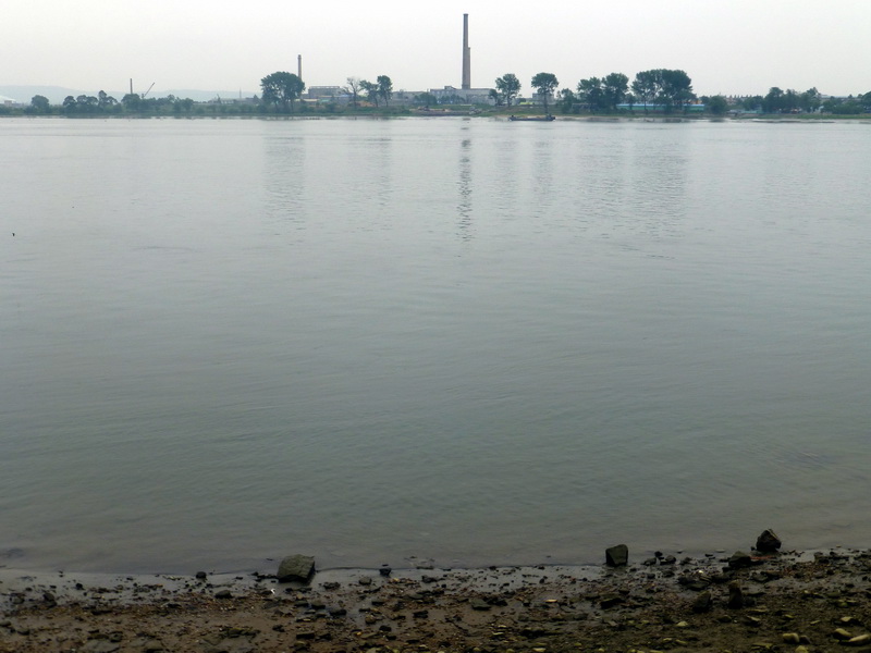 p1210536.jpg