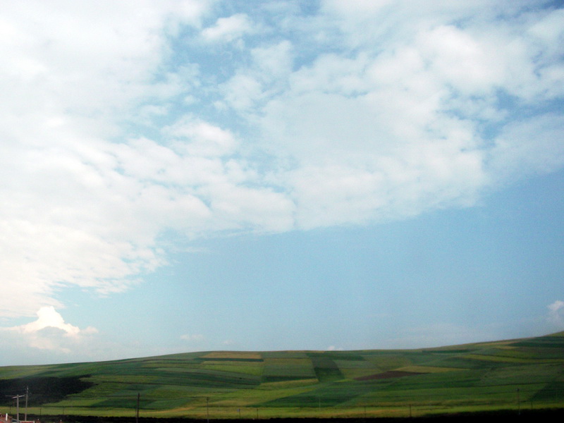 dscf0935.jpg