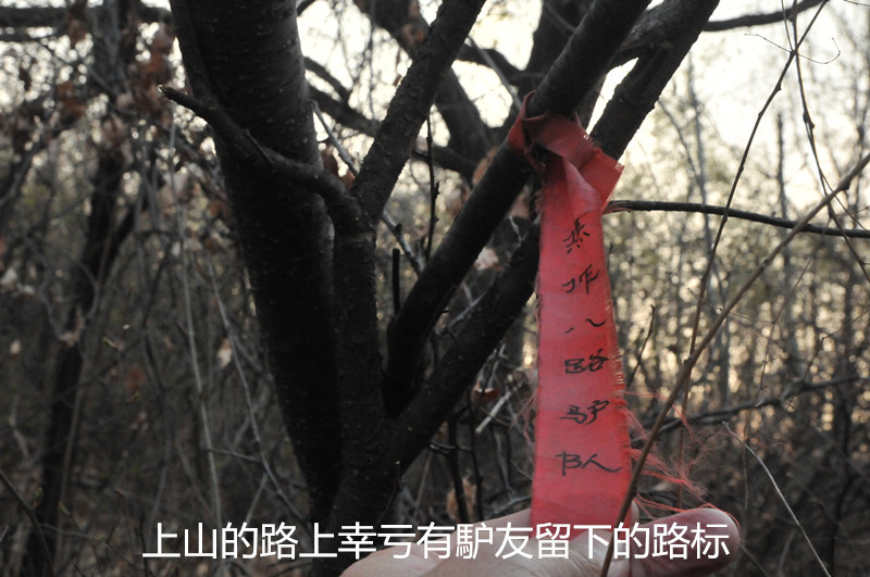dsc_9910_副本.jpg