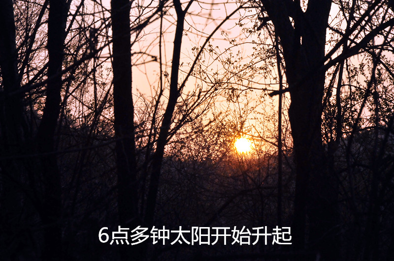 dsc_9913_副本.jpg