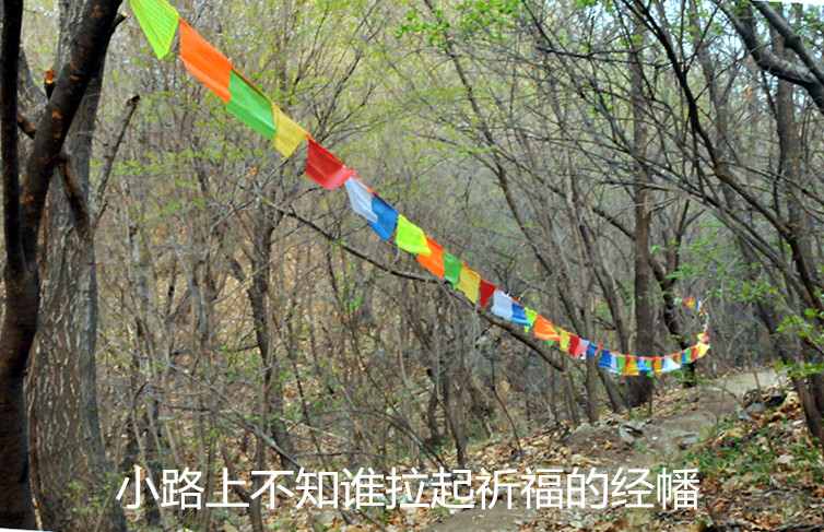 dsc_9915_副本.jpg
