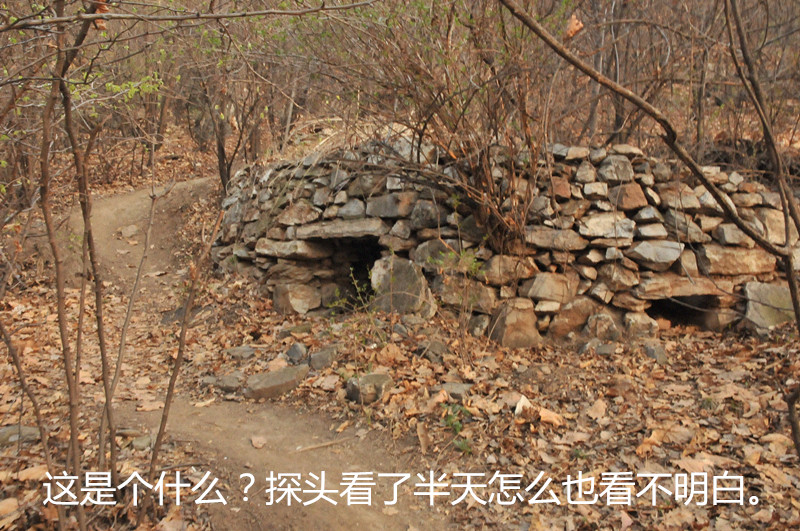 dsc_9917_副本.jpg