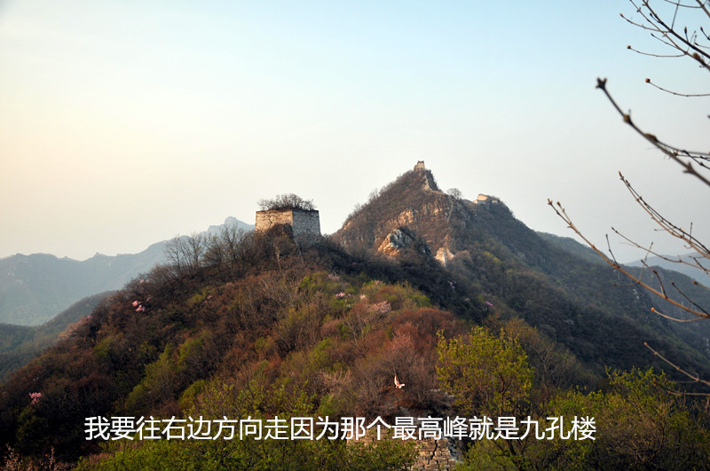 dsc_9920_副本.jpg