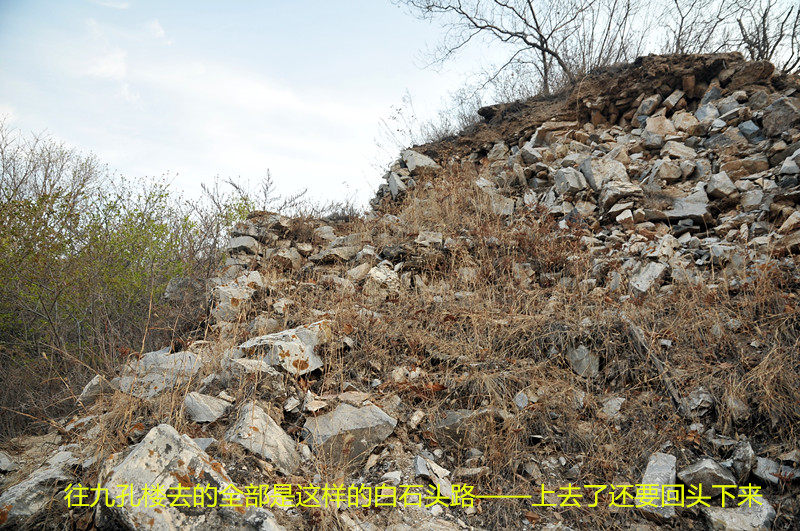 dsc_9923_副本.jpg