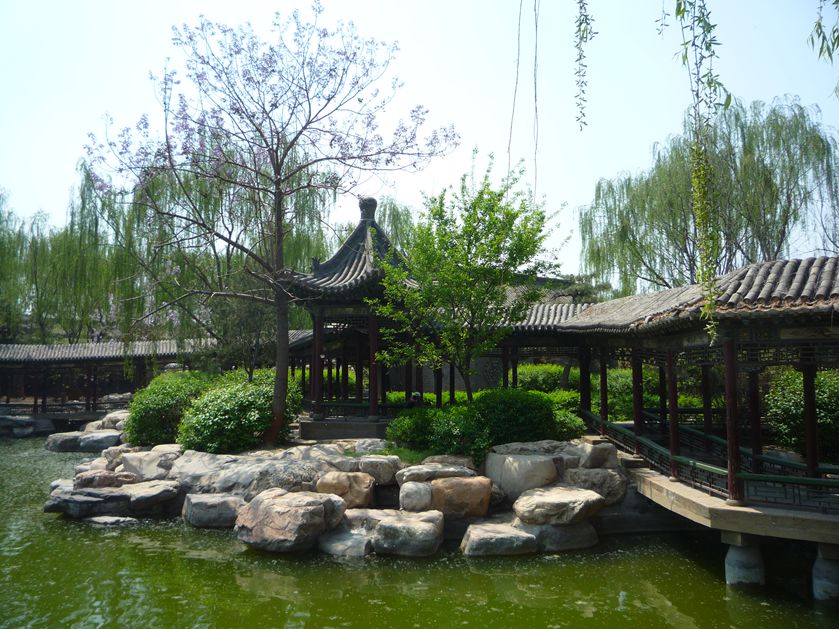 山西碛口行img_1870_副本.jpg