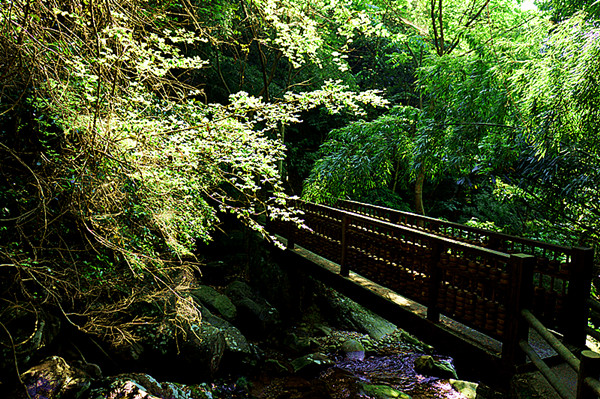 dsc01385_.jpg